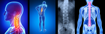 Chiropractic Visualization